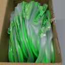 Weewooday 12 Pieces Clear Makeup Bags Cosmetic Storage Bags PVC Zipper Pouches Travel Waterproof Makeup Plastic Case for Women Organizing Toiletries Traveling Bathroom(Medium,Green)