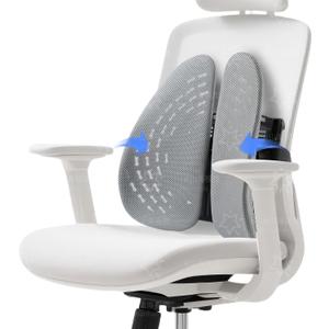 Back Cushion for Chairs  Adjustable Lumbar Support Pillow for Office & Car Seats to Relieve Back & Lumbar Pain, Improve Posture