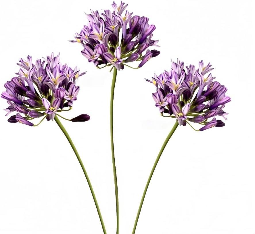 3 Pieces Large Artificial African Agapanthus,Long Stem Artificial Flowers for Tall Vase,Silk Plants for Home Decor Indoor, Silk Flowers for Wedding Bouquet Office Party Decor (Purple, 26")