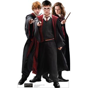 Cardboard People Harry, Hermione & Ron in Robes Life Size Cardboard Cutout Standup - Harry Potter and The Order of The Phoenix