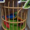 HWD Voice-Activated Induction Birds Birdcage Toy, Talking Chirping Fluttering Parrot Birds Toys Gifts for Baby Toddler Kids Children (A) (Red)