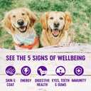 Wellness Wet Canned Dog Food, Pate Variety Pack, 12.5 Ounce Can (Pack of 6) (EXP 06/23/28)