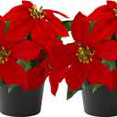 Mini Poinsettias Artificial Plants 2 Pack 9" Faux Small Christmas Flowers in Pot for Home Office Tabletop Indoor Christmas Decorations Red