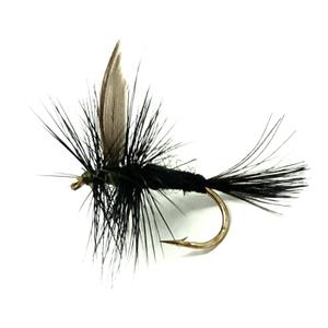 Feeder Creek Black Gnat Dry Flies, One Dozen Nymph Flies for Trout, Bass, Salmon and More Freshwater Fish, Size 10, 6 Pack Feeder Creek Black Gnat Dry Flies, One Dozen Nymph Flies for Trout, Bass, Salmon and More Freshwater Fish, Size 10, 6 Pack