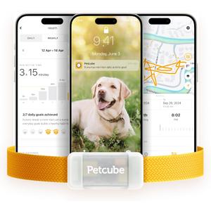Petcube GPS Tracker for Dogs | Pet GPS Location Tracker with Escape Alerts and Virtual Fences, Activity and Wellness Monitoring, Glows in a Dark, Water and Dust Proof