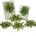 HUIHUANG Moss Green Bows for Gift Wrapping Self Adhesive Christmas Green Gift Bows Burst Curly Ribbon Bows for Presents, Gift Wrapping, Treat Bags, Party Favor, Crafts-6 inch x 6 Counts