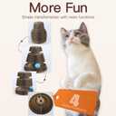 Versatile Transformable Fun Track Ball - Playtime for Cats, Dogs, Raccoons, and More - Interactive Eco-Friendly Pet Toy with Multiple Configurations (P001B)