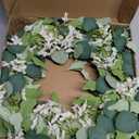 24" Spring Summer Wreaths for Front Door, Artificial Green Eucalyptus White Flower Cherry Blossom Grapevine Base for Farmhouse Porch Wedding Outdoor Indoor Year Round Home Decor