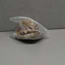 Halloween Skull Mask with Moving Jaw, Latex Human Skeleton Mask for Party Cosplay Props