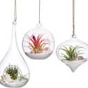 Mkono 3 Pack Glass Hanging Planter Air Fern Holder Terrarium Plants Hanger Vase, Home Christmas Decoration Gifts for Plant Lovers, Succulent Moss Tillandsias Air Plants Globe (Plant Not Included)