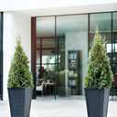 Keter Set of 2 Resin Modern Outdoor 22 Inch Tall Large Flower Pots, Tapered Wood Look Planters for Outdoor Plants and Front Porch Decor, Graphite