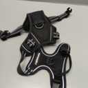 rabbitgoo Dog Harness No Pull with 2 Leash Clips, Adjustable Soft Padded, Reflective Oxford No Choke Pet Vest with Easy Control Handle for Small Dogs, Black, S