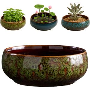 Oncpcare Lotus Bowl Planter  Glazed Ceramic Indoor Plant Bowl Lotus Pot for Lotus Seeds, Bonsai, Succulents | Shallow Hydroponic Decorative Oriental Flower Bowl (Green)