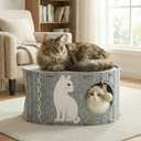 Cat House for Indoor Cats – Felt Covered Cat Bed Cave with Sisal Ball & Reversible Cooling & Warming Pad, Enclosed Hideaway Condo for Large Cats & Kittens, Cozy Multi-Cat Furniture, Gray