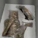 Halloween Candy Dish Decor Bowl - Christmas Skull Bowl Candy Box,Christmas Resin Skeleton Hands Candy Dishes, Snack Tray Tabletop Storage Box for Decor Table Centerpieces Fruit Plate (A)