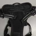 rabbitgoo Dog Harness No Pull with 2 Leash Clips, Adjustable Soft Padded, Reflective Oxford No Choke Pet Vest with Easy Control Handle for Puppy, Black, XS