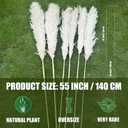 55" inch Scarcity Natural Pampas Grass Decor Tall, pompas Grass, Tall Pampas Grass for Wedding, Party, Farmhouse, Boho Home Decor