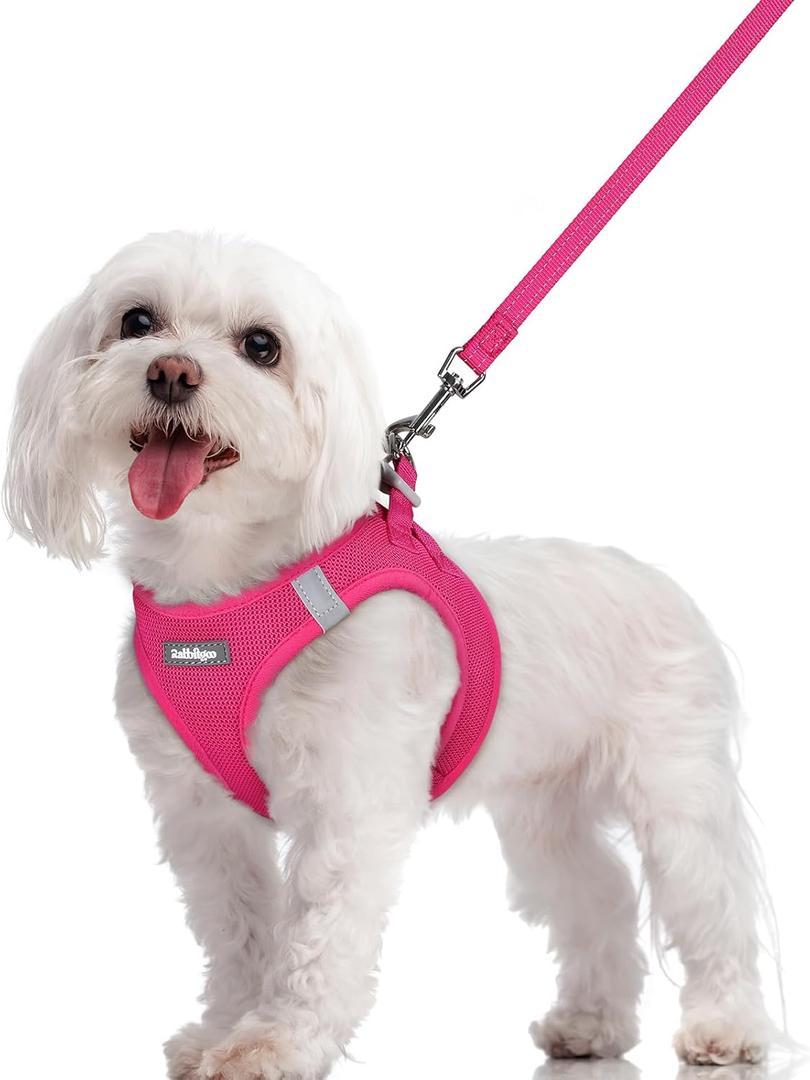 Rabbitgoo Dog Harness Small Sized and Leash Set, Step in Soft Light Puppy Vest, Breathable Mesh Pet Harness, Reflective for Safe Easy Walking, Rose Red M (Chest: 16 - 18.5")