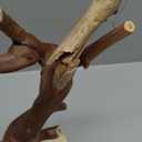 Balacoo Wooden Parrot Perch Stand with Stable Base Multi-Functional Bird Training Rack Toy for Parrots Durable Non-Slip Grip for Training and Play