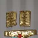 Rubies DC Comics: Wonder Woman Accessory Kit for Adults (One Size, Multi)