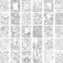 36 Colors Alcohol Markers & Coloring Book for Adults to Relax and Relieve Anxiety, Stress Free Adult Coloring Book with Markers included 30 Themes Designs