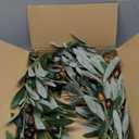 8 PCS 30" Faux Olive Branches Silk Leaves Fake Olive Tree Branches with 96 Fruits Realistic Artificial Greenery Stems for Vase Fillers Home Centerpieces Wedding Office Indoor Decor