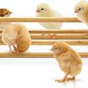 Frcctre 2 Pack Bamboo Chicken Perch, Freestanding Roosting Bar Set Baby Chick Stand Training Perch Chicken Jungle Gym with Built-in Mirrors for Brooder, Coop, Hens