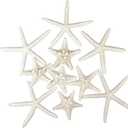 Jangostor 12 PCS Starfish 2-6 Inch Mixed Starfish Natural Seashells Starfish Star Fish Shells Decorations Perfect for Wedding Decor Beach Theme Party, Home Decorations, DIY Crafts, Fish Tank