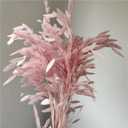 Dried Grass Bundle, 20 Stems 15-17 Inch Natural Chasmanthium Flower Bouquet for Vase, DIY Floral Arrangements, Weddings Party Home Baby Shower Elegant Decor (Pink)