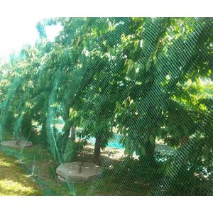 CandyHome 13Ft x 33Ft Anti Bird Protection Mesh Garden Netting Seedlings Plants Flowers Fruit Trees Vegetables from Rodents Deer Reusable Fencing, Green