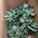 6 Pack Artificial Eucalyptus Garland with Willow Leaves Each 6.5 Feet Faux Greenery Garland for Wedding Arch Mirror DIY Garlands Decor