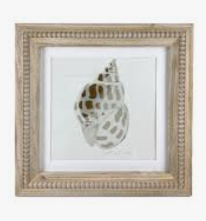 New View Coastal Wall Art Featuring a Seashell Print in a Wooden Frame.