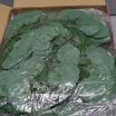 CQURE 120 Pack 840Ft Eucalyptus Garland,Artificial Eucalyptus Leaves Table Greenery Garland Wreath Vines for Wedding Party Table Fireplace Bedroom Wall Room Decor