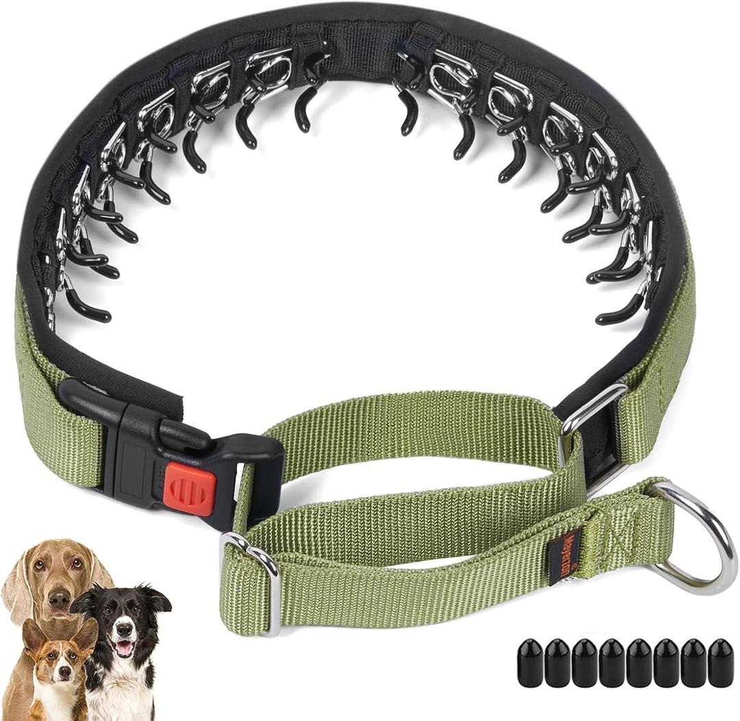Mayerzon No Pull Dog Collar, Patented Martingale Collar for Small Medium Large Dogs with Buckle and Heavy Duty Nylon for Walking Training Hunting, Safe and Easy to Use(M, Green) (Medium,2.5mm,14.5"-18.5"Neck)