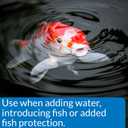API POND STRESS COAT (1 Gallon) Pond Water Conditioner - Quickly Makes Tap Water Safe for Fish & Plants - Up to 15360 Gallons - Removes Chlorine, Ammonia & More - Natural Aloe Vera