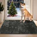 BEQHAUSE Dirt Trapper Door Mat 24" x 36", Non-Slip Doormats Washable Entryway Rugs, Stain Resistant Dog Door Mats Absorbent Welcome Floor Mat for Front Back Door, Mud Wet Shoes & Paws, Dark Grey