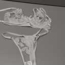 Lilosy Sexy Satin Mesh Floral Sheer Embroidered Underwire Lingerie Set 2 Piece Women( size XXS)