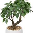 Artificial Bonsai Tree, Small Ficus Bonsai Tree 13" Indoor Bonsai Tree Fake Potted Plant Decorative Fake Desk Plant Decor with Ceramic Pot for Home Office Living Room Bedroom Bathroom Table Shelf