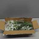 Artflower 40 Pcs Babys Breath Artificial Flowers, Fake Baby Breath Flowers Artificial Bulk, Faux Gypsophila Babies Breath Real Touch Flowers for Wedding Bouquet Floral Arrangement Party Home Decor (White)