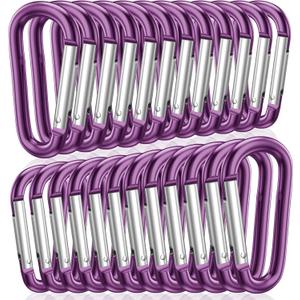 STURME 2" Aluminum D Ring Carabiners Clip D Shape Spring Loaded Gate Small Keychain Carabiner Clip Set Outdoor Camping Mini Lock Snap Hooks Spring Link Key Chain Durable Improved 24 PCS