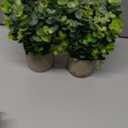 Velener 2 Pcs Small Fake Plants Eucalyptus, Artificial Plants Indoor for Shelf, Potted Eucalyptus Plants for Home/Bathroom/Pottery Barn/Desk/Farmhouse/Coffee Table Decor (Sage Green)