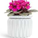 6 Inch African Violet Pots Self Watering, Ceramic Planter with Water Reservoir and Fill Lines, 4 Inch Opening, Indoor Flower Pot, Holds 3 Weeks of Water (1 Pack)