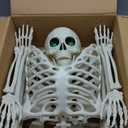 7.9Ft/240cm Halloween Giant Skeleton Life Size Skeleton Full Body Plastic Human Skeleton with Adjustable Joints for Halloween Outdoor Indoor Decoration