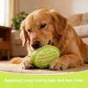 2 x Squeaky Rugby Dog Toys, Tough Chew-Resistant, Thermoplastic Rubber, Teeth Cleaning, Suitable for Small Medium Large Dogs