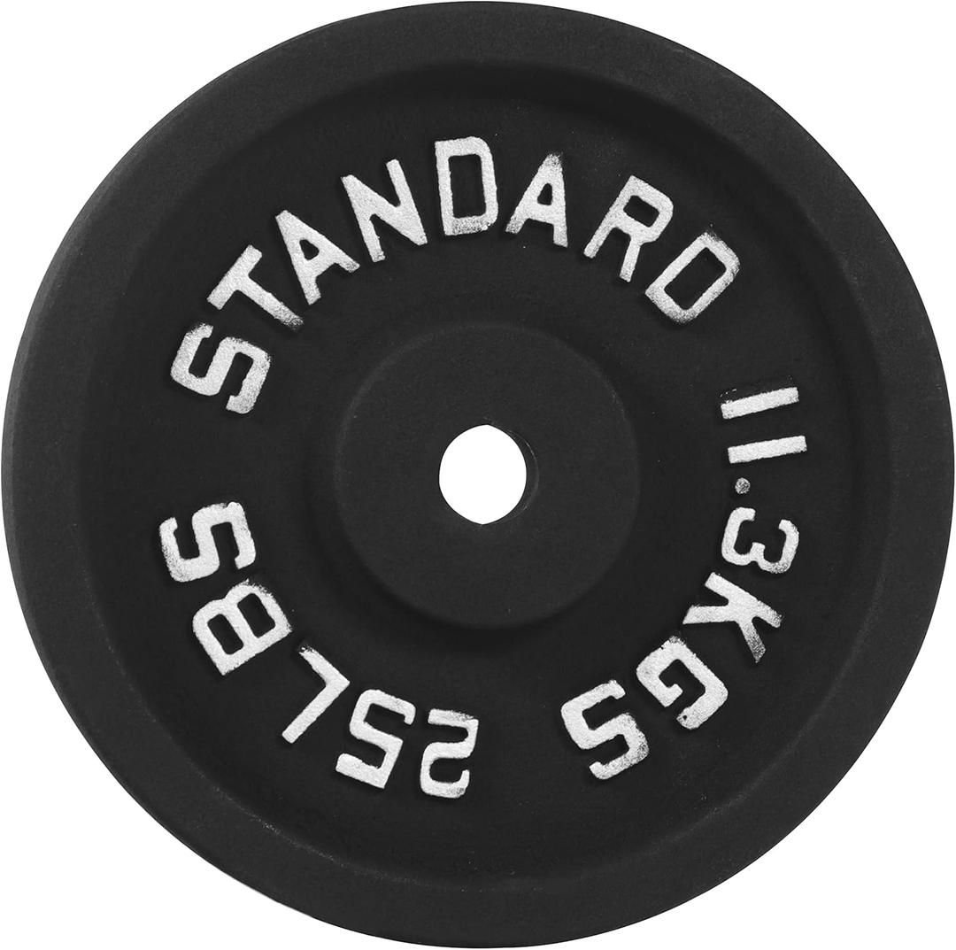 1-Inch Standard Cast Iron Weight Plate for Strength Training & Weightlifting, 25LB (Single)