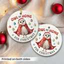 4 x Owl Ornaments for Christmas Trees - Unique Owls Gifts for Women, Men, Family, Coworker, Xmas Gifts for Owl Lovers, Animal Lover Gift for Friends Neighbors, Ceramic Bird Ornaments