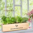 Meekear 5 Herb Seeds Garden Starter Kit with Complete Planting Kit & Wooden Flower Box, Growing into Basil, Parsley, Rosemary, Thyme, Mint for Kitchen Windowsill Herb Garden DIY