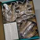 Science Chemistry Cookie Cutter Set - 8 Piece - Stainless Steel