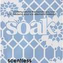 Soak Wash Single Use Sample Size 48/Pkg Scentless