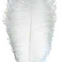 ADAMAI 100PCS Natural 11.8-13.7inch Ostrich Feathers Plume for Wedding Centerpieces Home Decoration (White)